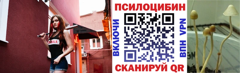 Купить  Дно  Галлюциногенные грибы ЛСД 